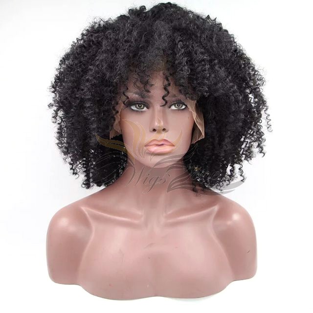 Futura Fiber Lace Front Wig Afro Curl Black Color Looks & Feels Like Human Hair [SHAC]