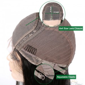 Silky Straight Brazilian Virgin Hair Lace Closure Wig [BLCWST]